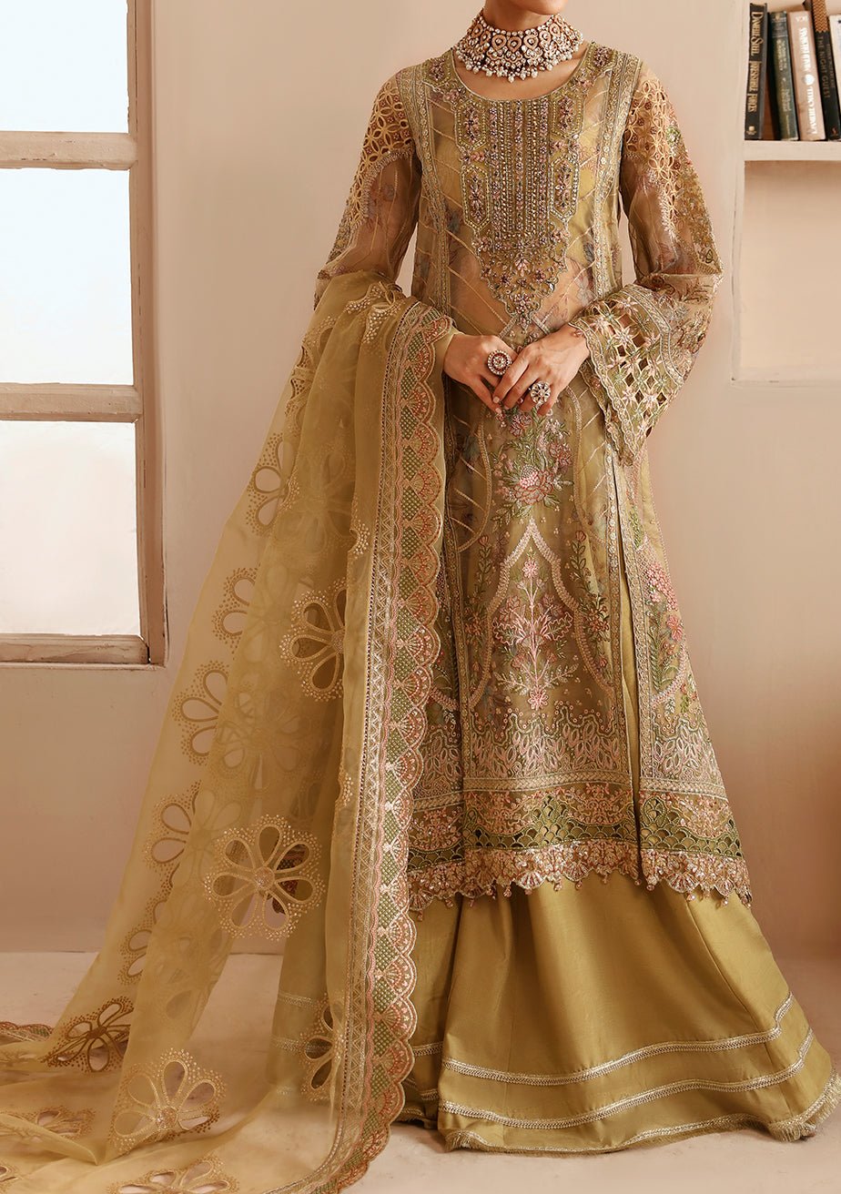 Ramsha Minhal Pakistani Luxury Organza Dress main image 1