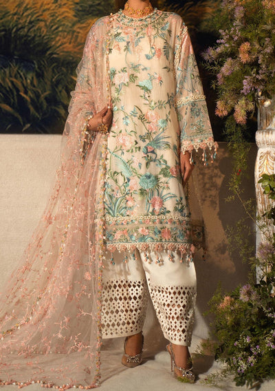 Sana Safinaz Pakistani luxury Woven Net Dress - db25840