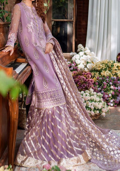 Akbar Aslam Raniya Pakistani Luxury Net Dress - db24743