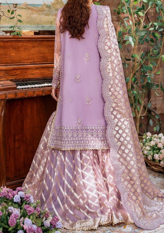 Akbar Aslam Raniya Pakistani Luxury Net Dress - db24743