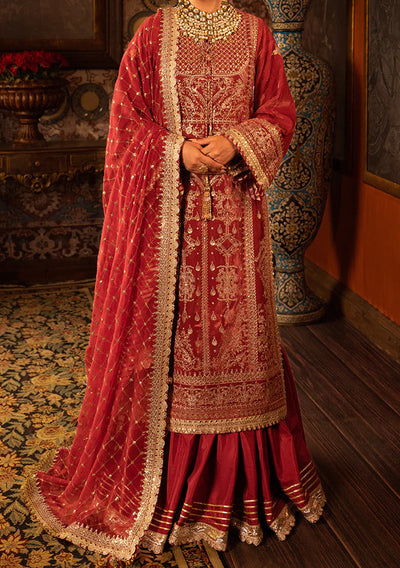 Pakistani Original Luxury Velvet Dress