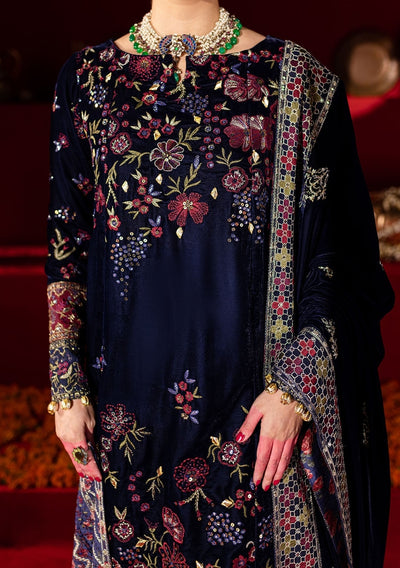 Nureh Embroidered Pakistani Luxury Velvet Dress