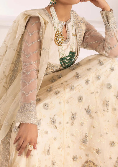 Adan's Libas Perfume Pakistani Luxury Organza Dress - db30302