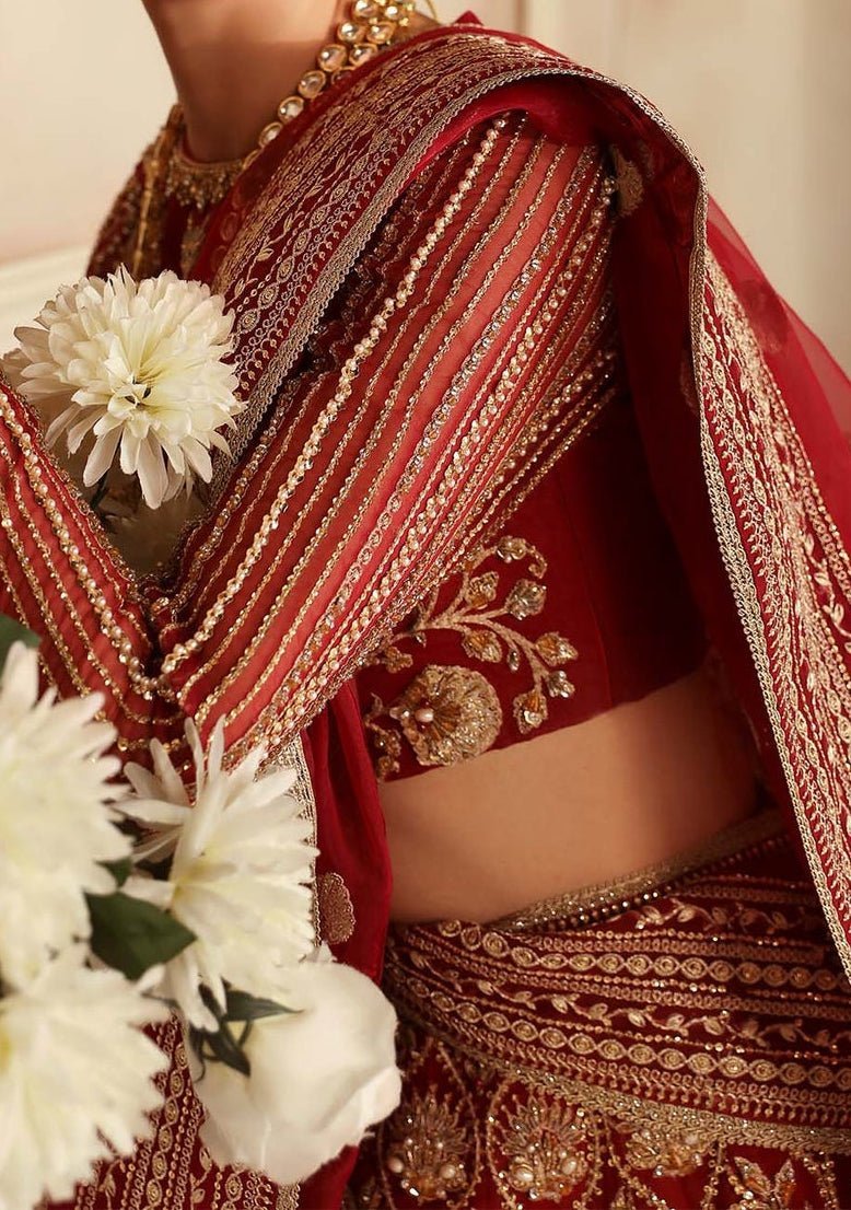 Akbar Aslam Rosier Pakistani Organza Lehenga Choli - db28828