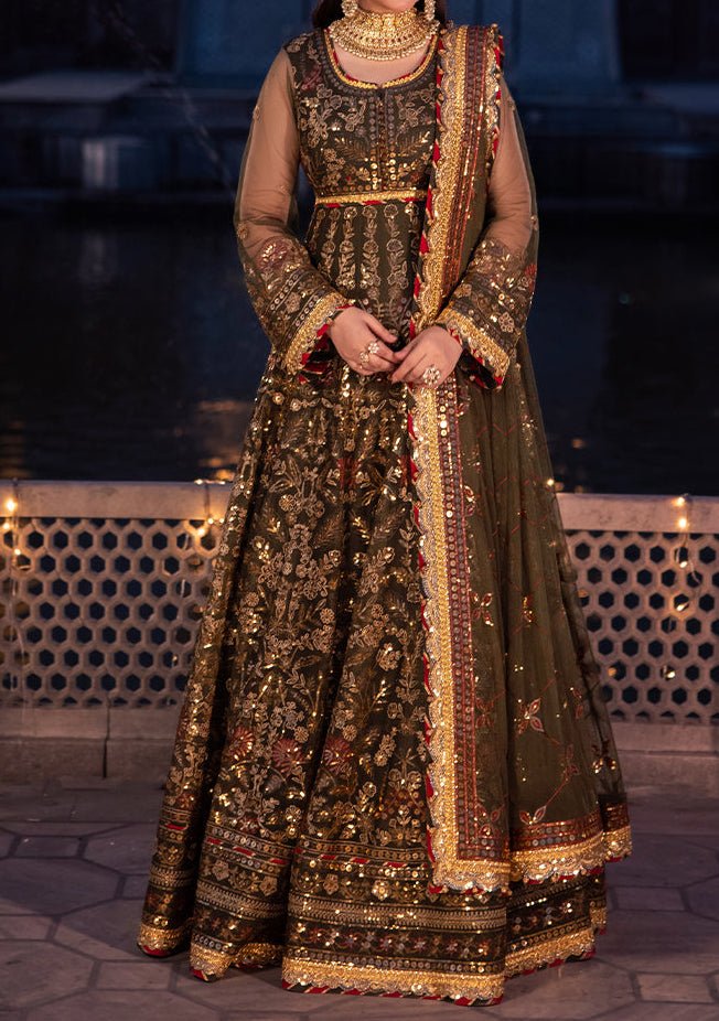 Asim Jofa Chandni Raatein Pakistani Net Anarkali - db27063