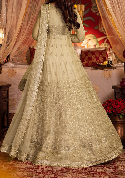 Asim Jofa Chandni Raatein Pakistani Net Anarkali - db27062