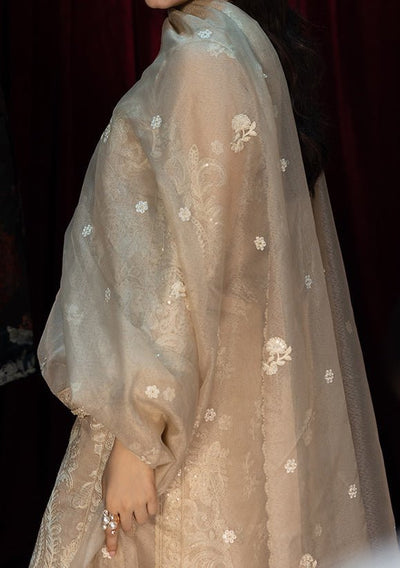 Asim Jofa Luxury Festive Embroidered Net Dress - db29081