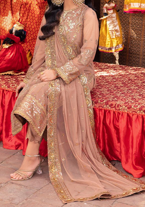 Asim Jofa Pyaar Diyan Gallan Pakistani Net Dress - db26452