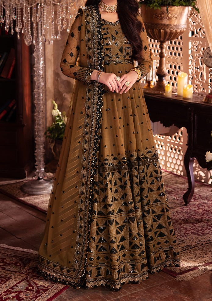 Asim Jofa Vasl Pakistani Chiffon Anarkali - db28053