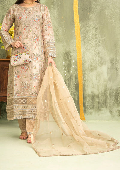 Bint - E - Noor Eshaline Embroidered Organza Dress - db29919
