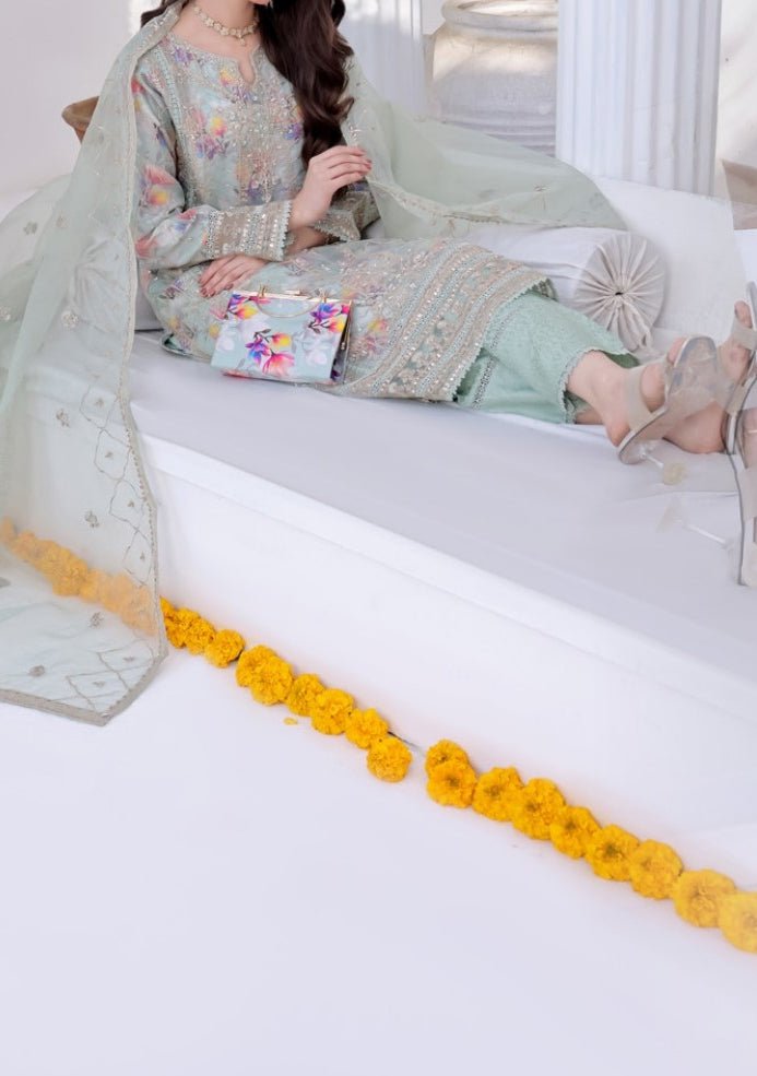 Bint E Noor Organza Dress With Accessories - db29153