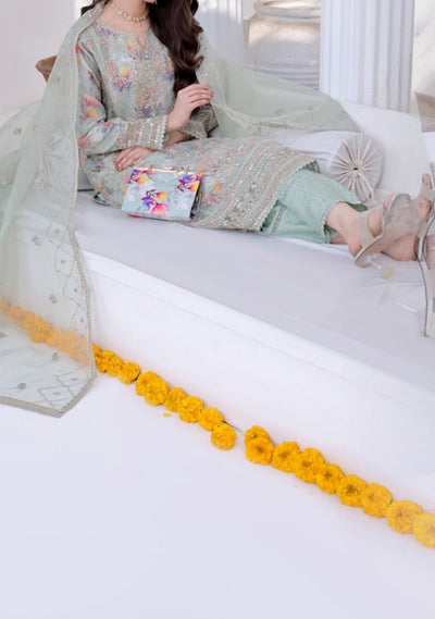 Bint E Noor Organza Dress With Accessories - db29153