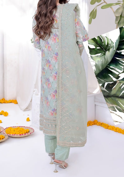 Bint E Noor Organza Dress With Accessories - db29153