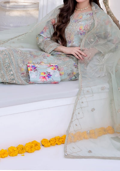 Bint E Noor Organza Dress With Accessories - db29153