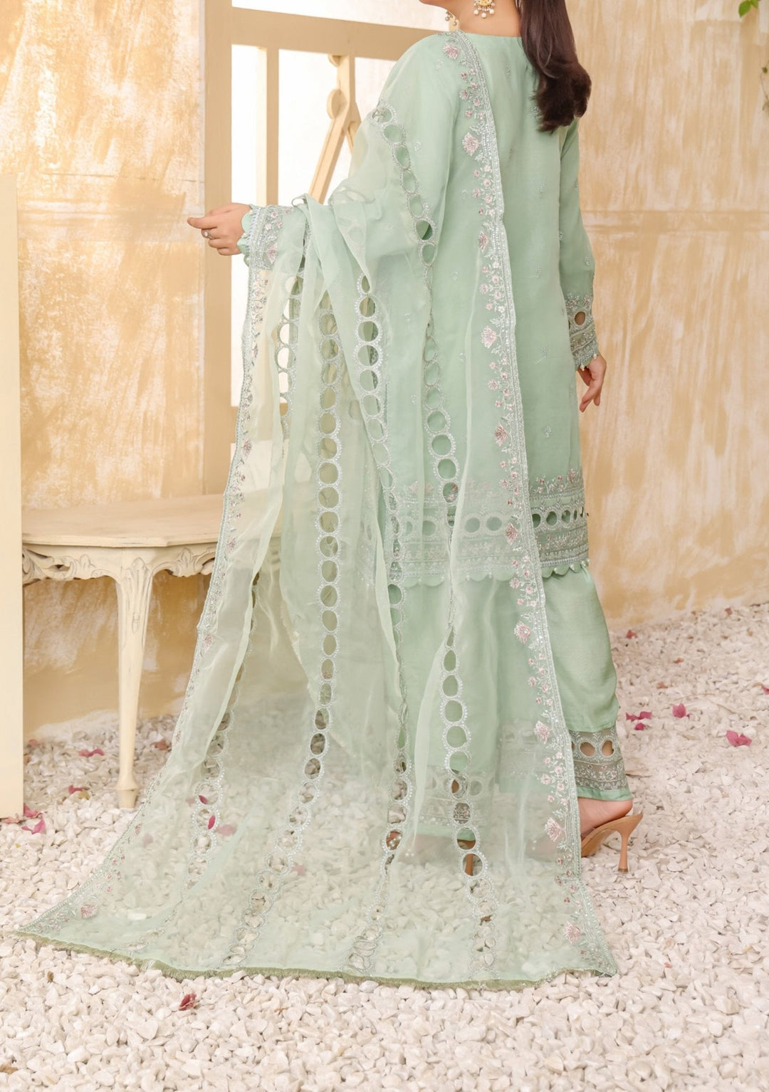 Bint E Noor Embroidered Organza Dress - db29664 Bint E Noor Embroidered Organza Dress - db29664