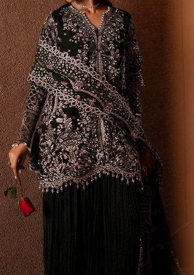 Emaan Adeel Arista Pakistani Chiffon Dress - db27245