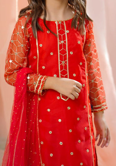Girl's Ready Made Pakistani Organza Dress - db25848