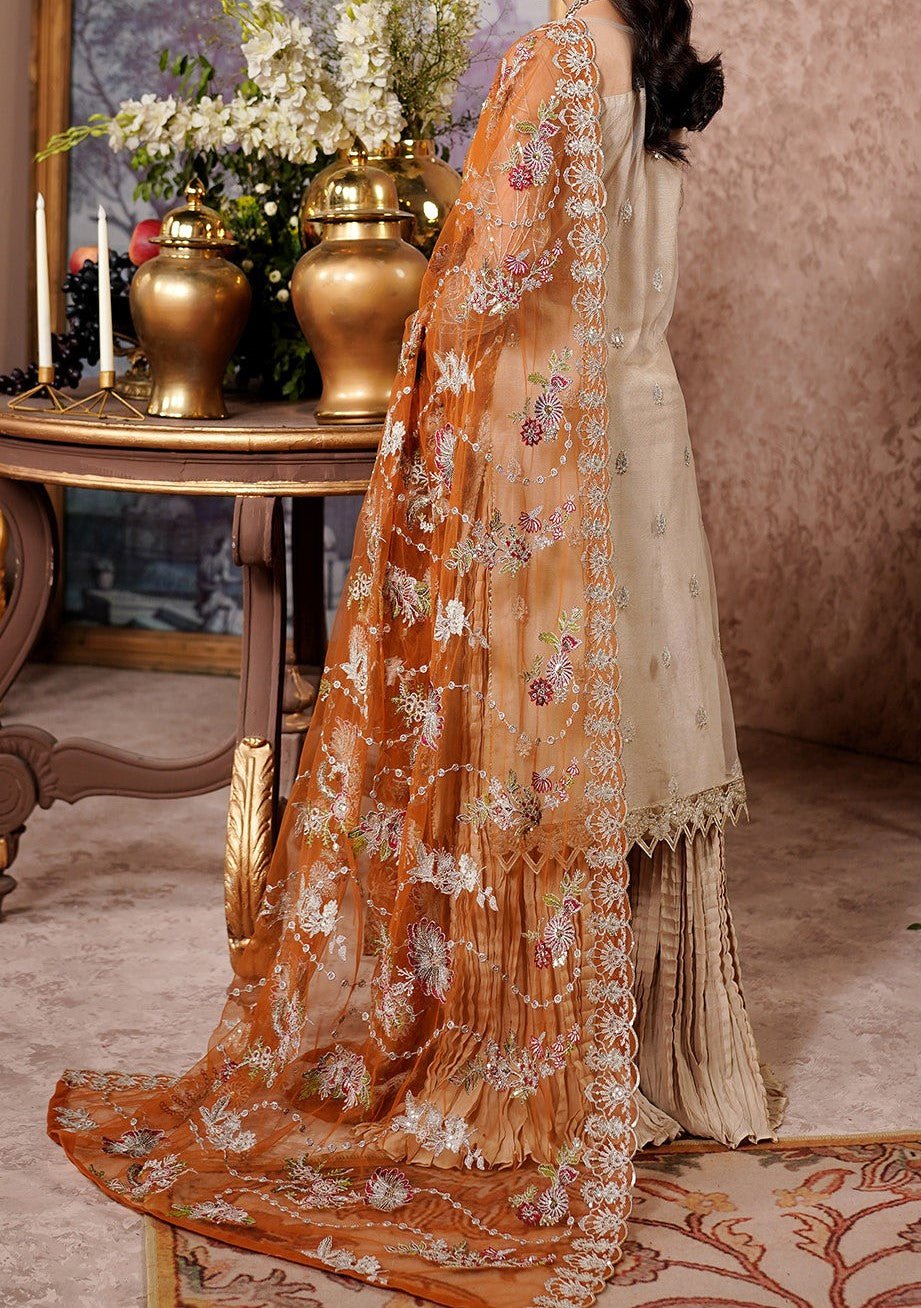 Maryam's Aarzu Pakistani Luxury Net Dress - db27625