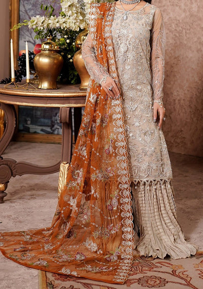 Maryam's Aarzu Pakistani Luxury Net Dress - db27625