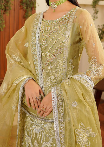 Maryam's Hayat Pakistani Luxury Organza Dress - db26845