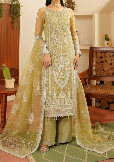 Maryam's Hayat Pakistani Luxury Organza Dress - db26845