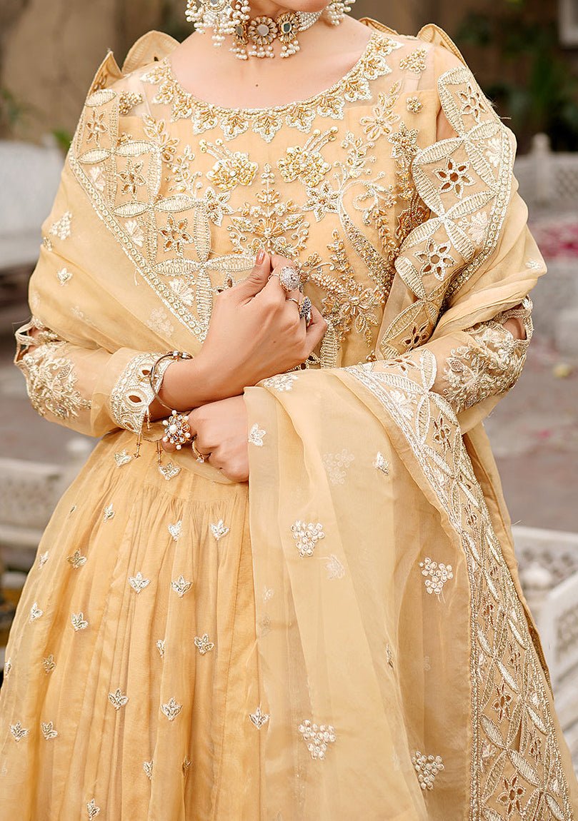 Maryam's Lemilsa Pakistani Luxury Organza Anarkali - db25924