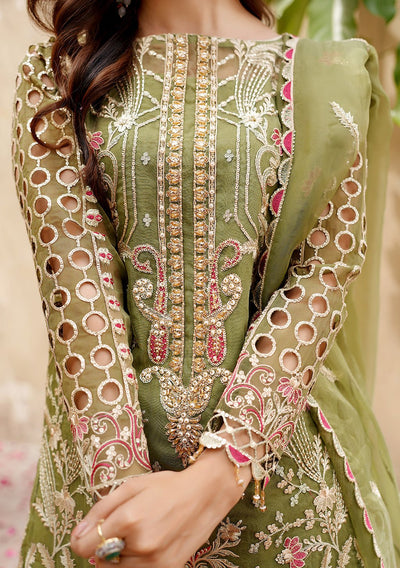 Maryam's Lemilsa Pakistani Luxury Organza Dress - db25918