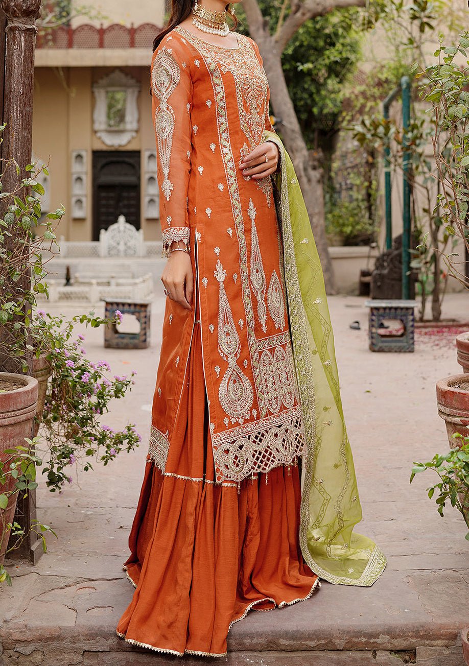 Maryam's Lemilsa Pakistani Luxury Organza Dress - db25923