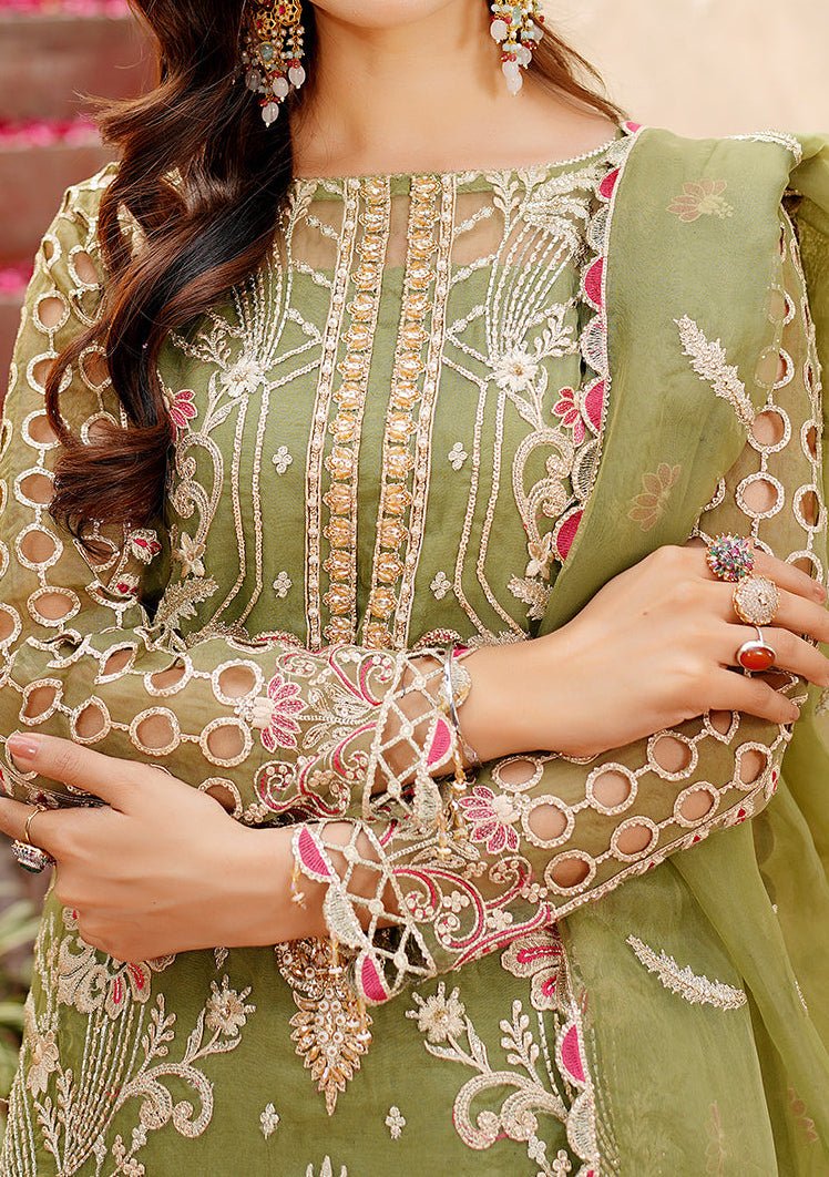 Maryam's Lemilsa Pakistani Luxury Organza Dress - db25918