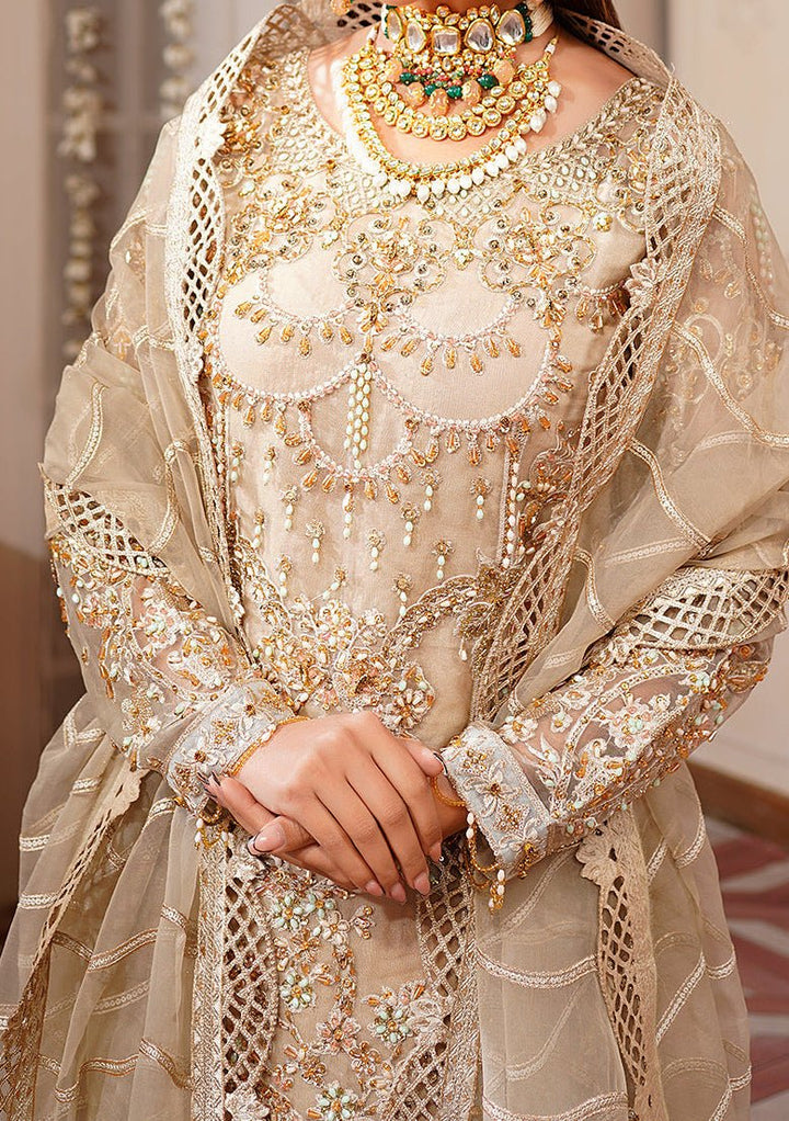Maryam's Pakistani Luxury Dress - db29031