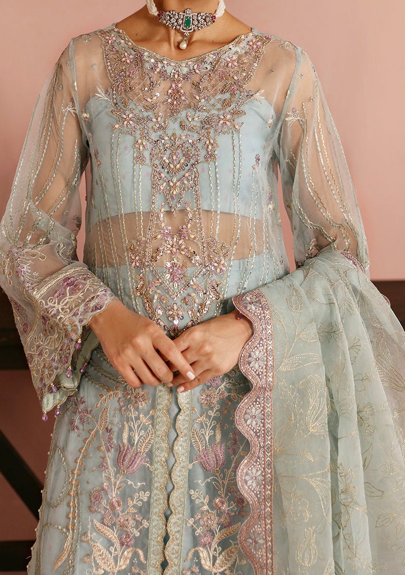 Ramsha Festive Pakistani Luxury Organza Dress