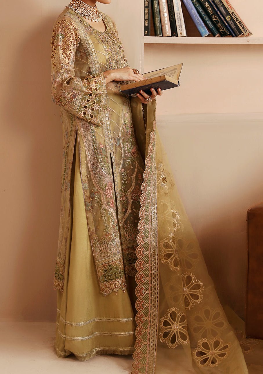 Ramsha Pakistani Luxury Organza Dress