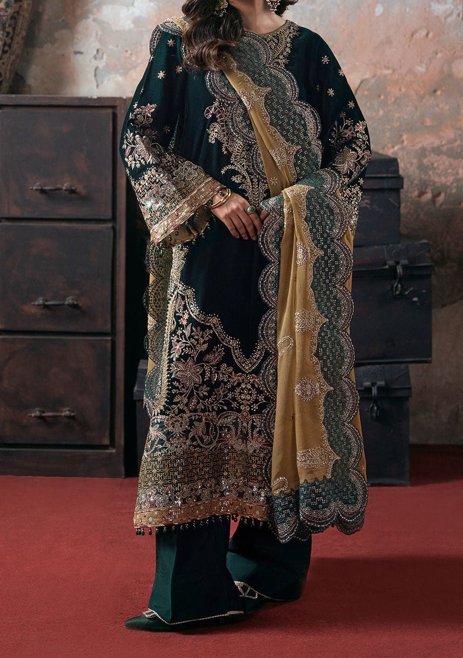 Ramsha Pakistani Velvet Dress