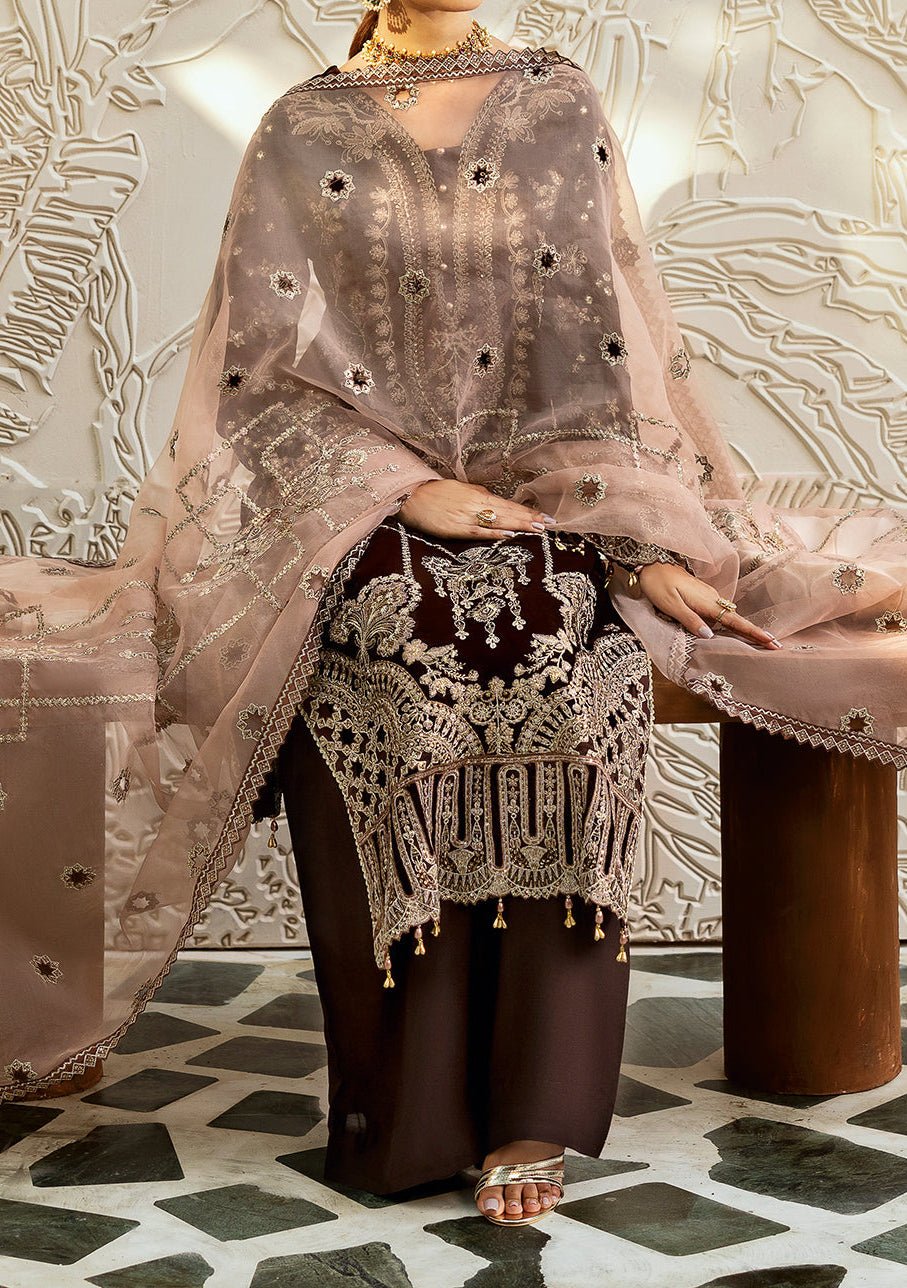Ramsha Pakistani Luxury Velvet Dress