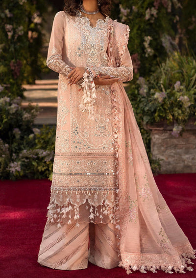 Sana Safinaz Pakistani luxury Woven Net Dress - db25833
