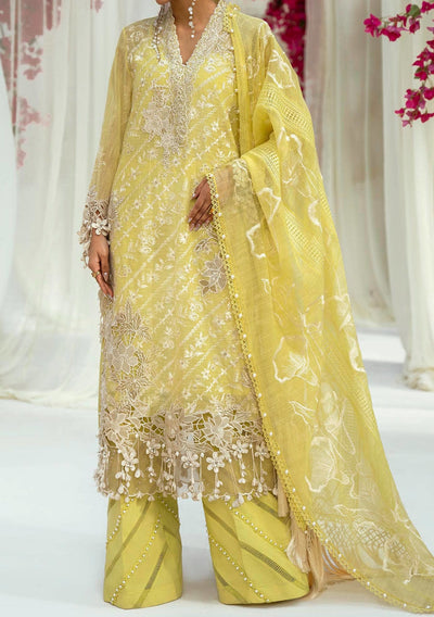 Sana Safinaz Pakistani luxury Woven Net Dress - db25841