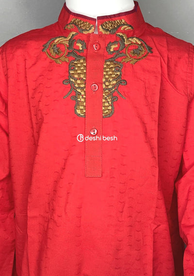 Aarong Embroidered Cotton Punjabi - db18902
