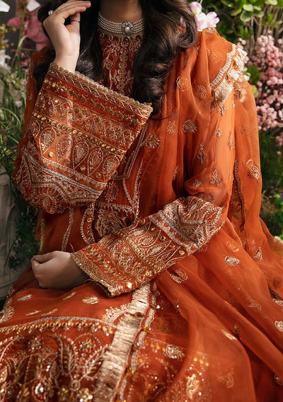 Afrozeh La Fuchsia Pakistani Chiffon Dress - db23184