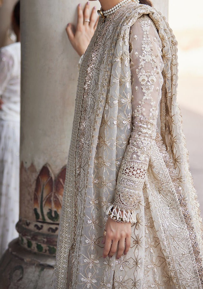 Afrozeh Noori Pakistani Luxury Organza Dress - db23385