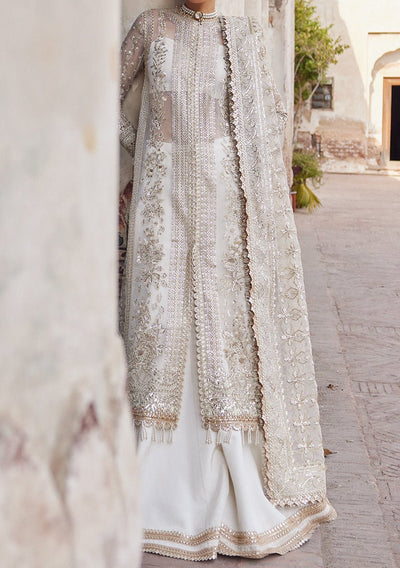 Afrozeh Noori Pakistani Luxury Organza Dress - db23385