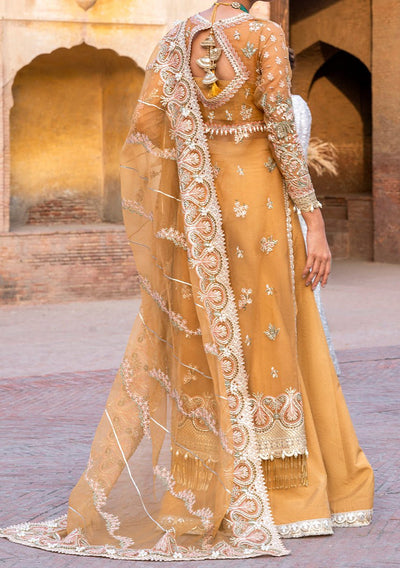 Afrozeh Shafaq Pakistani Luxury Organza Dress - db23382