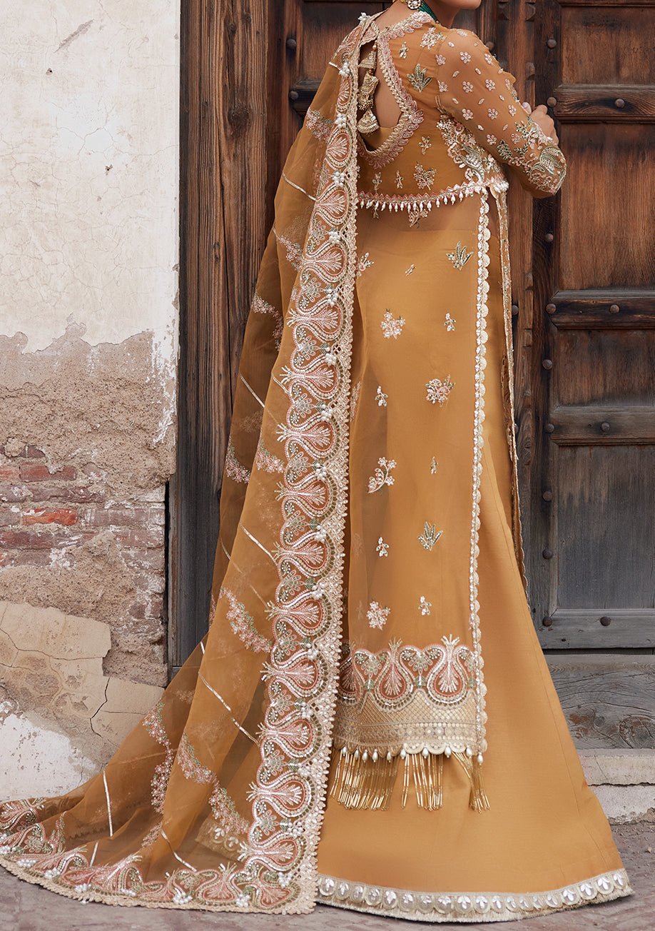 Afrozeh Shafaq Pakistani Luxury Organza Dress - db23382