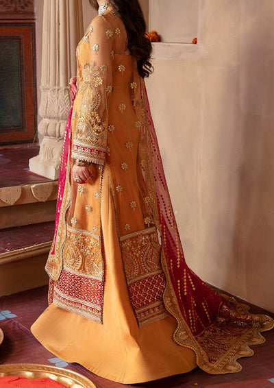 Afrozeh Zuri Pakistani Luxury Net Dress - db24296