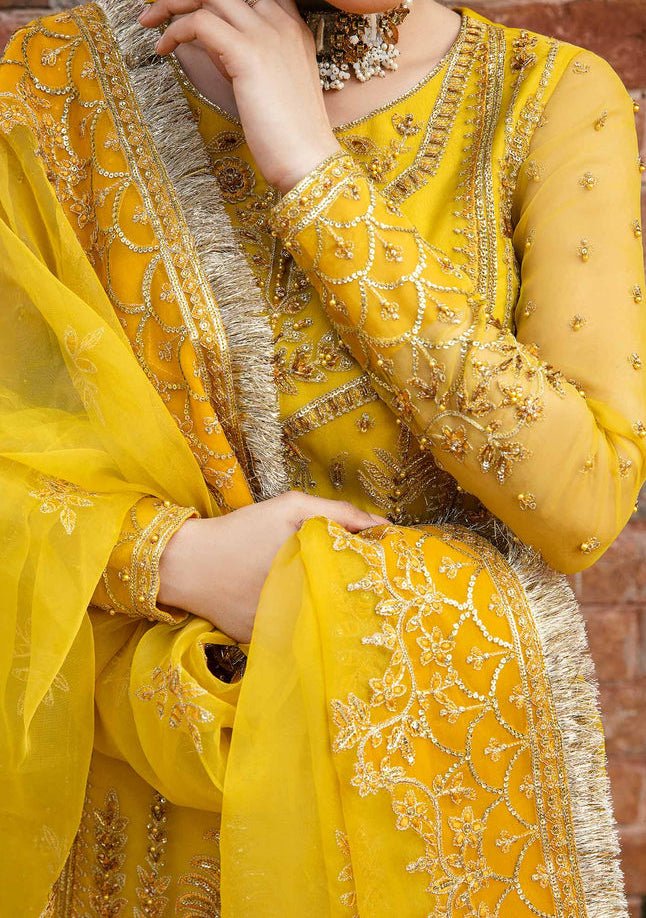 Akbar Aslam Cailin Pakistani Organza Lehenga Suit - db24745