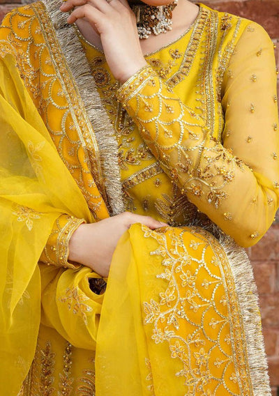 Akbar Aslam Cailin Pakistani Organza Lehenga Suit - db24745