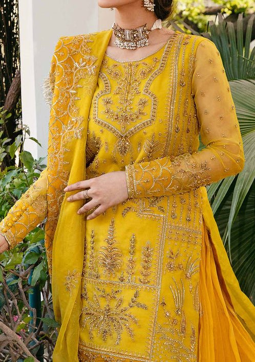 Akbar Aslam Cailin Pakistani Organza Lehenga Suit - db24745