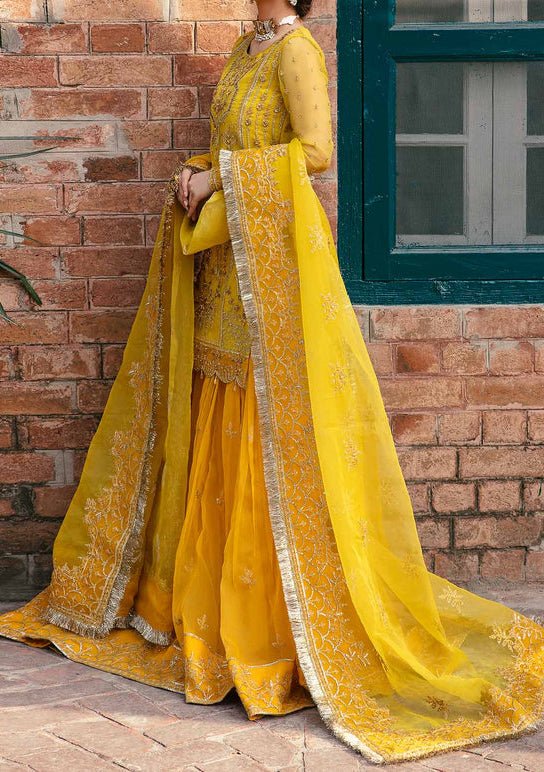 Akbar Aslam Cailin Pakistani Organza Lehenga Suit - db24745