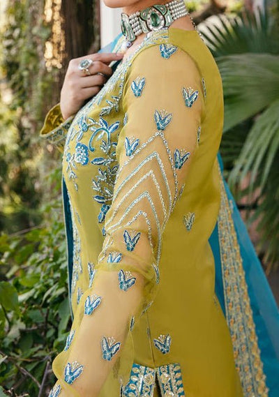 Akbar Aslam Davina Pakistani Luxury Organza Dress - db24749