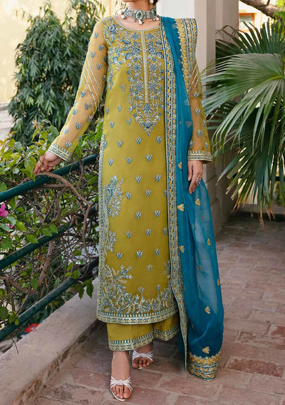 Akbar Aslam Davina Pakistani Luxury Organza Dress - db24749