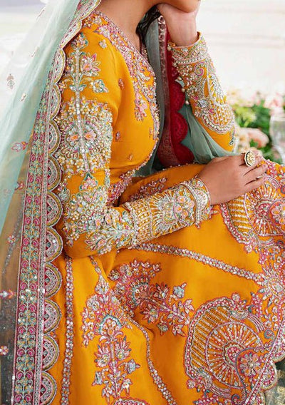 Akbar Aslam Dilaab Pakistani Luxury Net Dress - db24721